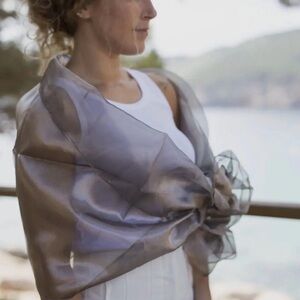 MR Complements Metallic Natural Silk Organza Party Shawl